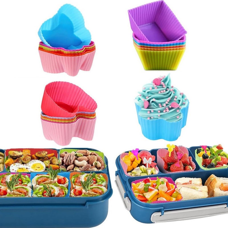 어린이를위한 8PCS 실리콘 도시락 분배기 어린이 학교 - Kids Education School 리뷰 및 가격